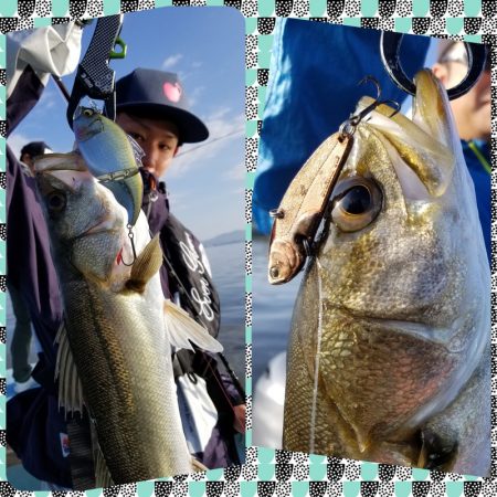 アマテラス 釣果