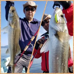 アマテラス 釣果