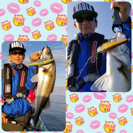 アマテラス 釣果