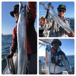 ビッグファイター 釣果