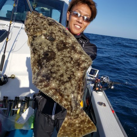 シーライオン 釣果