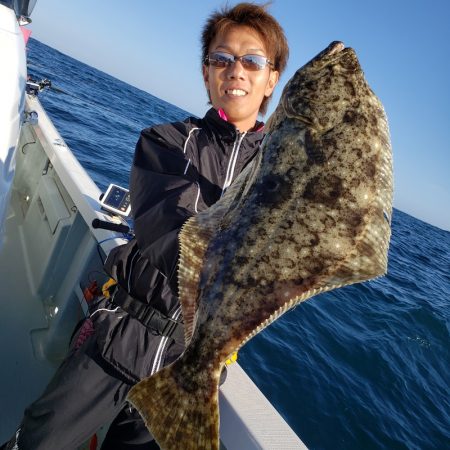 シーライオン 釣果