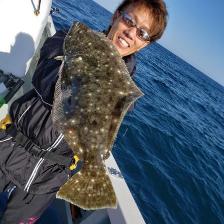 シーライオン 釣果