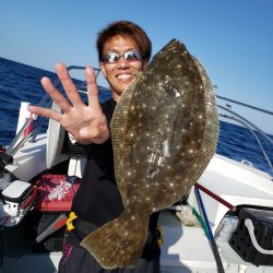 シーライオン 釣果