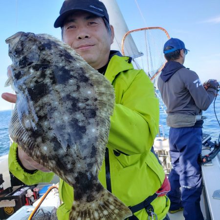 シーライオン 釣果