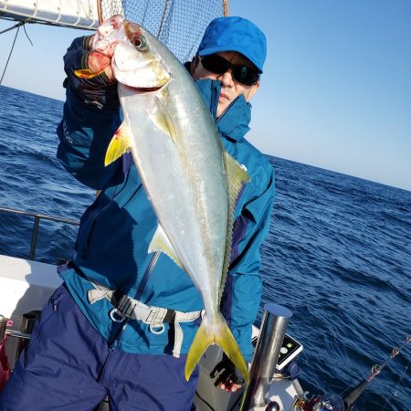 シーライオン 釣果