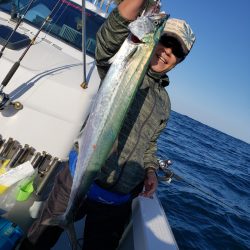 シーライオン 釣果