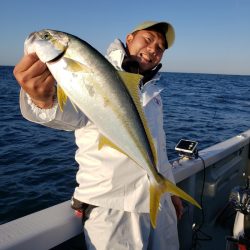 シーライオン 釣果