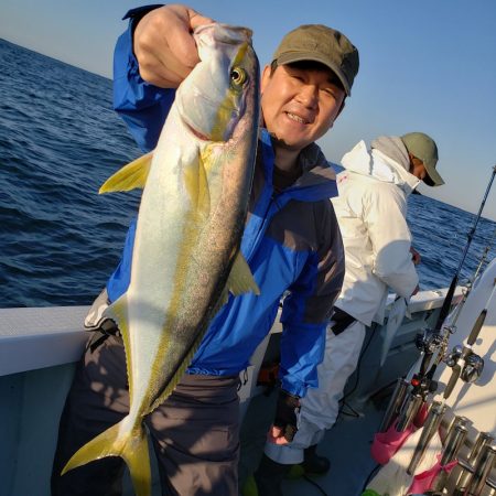 シーライオン 釣果