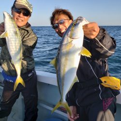 シーライオン 釣果