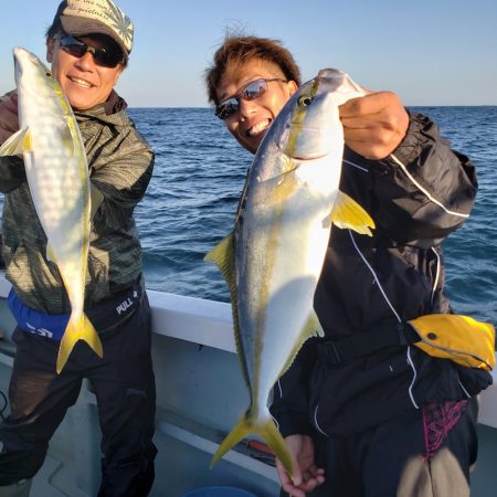 シーライオン 釣果