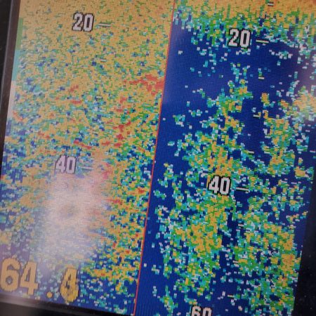 サンマリン 釣果