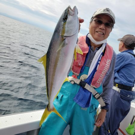 シーライオン 釣果