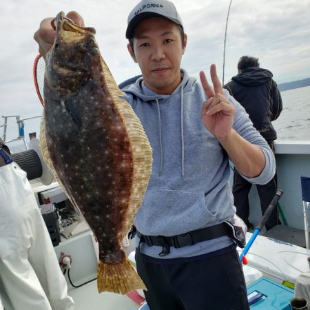 シーライオン 釣果