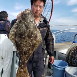 シーライオン 釣果