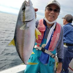 シーライオン 釣果