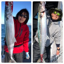 ビッグファイター 釣果