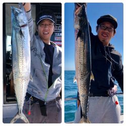 ビッグファイター 釣果