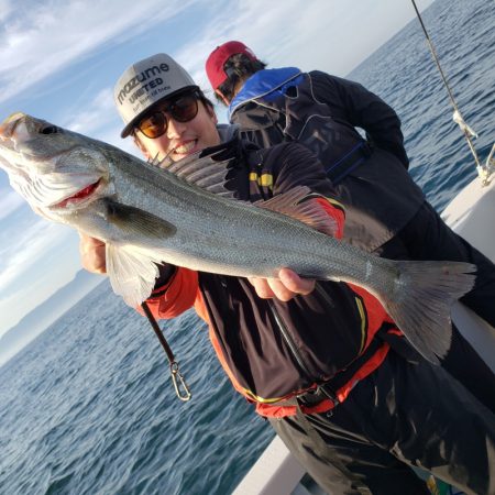 シーライオン 釣果