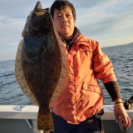 シーライオン 釣果