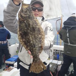 シーライオン 釣果