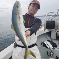 シーライオン 釣果