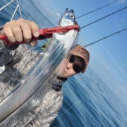 サンマリン 釣果