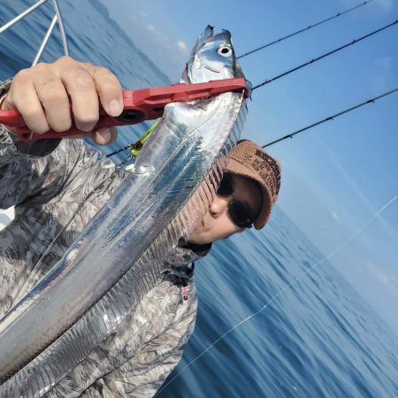 サンマリン 釣果