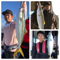 ビッグファイター 釣果