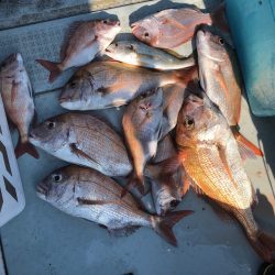 フィッシング キッタカ 釣果