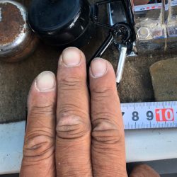 フィッシング　キッタカ 釣果