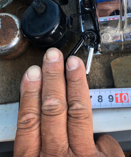 フィッシング　キッタカ 釣果