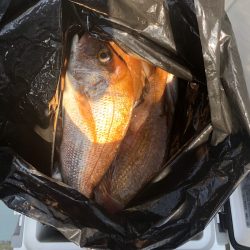 フィッシング キッタカ 釣果