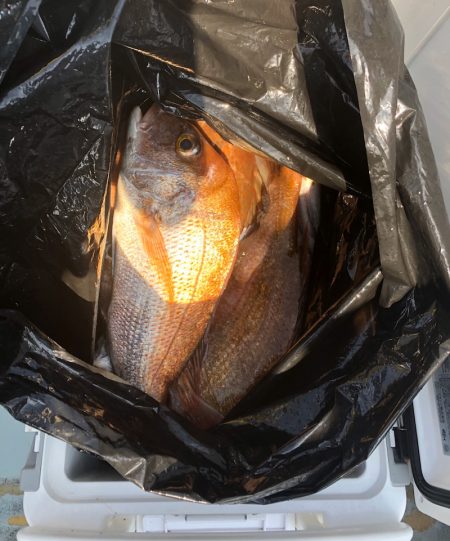 フィッシング キッタカ 釣果