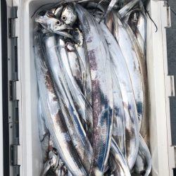 フィッシング キッタカ 釣果