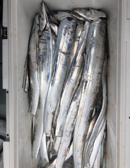 フィッシング　キッタカ 釣果