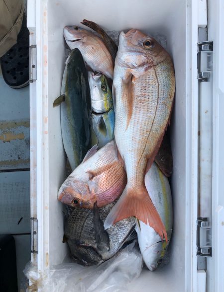 フィッシング　キッタカ 釣果