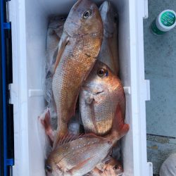 フィッシング　キッタカ 釣果