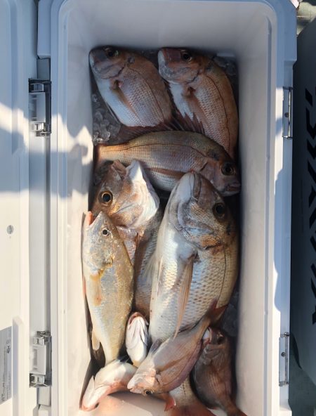 フィッシング キッタカ 釣果