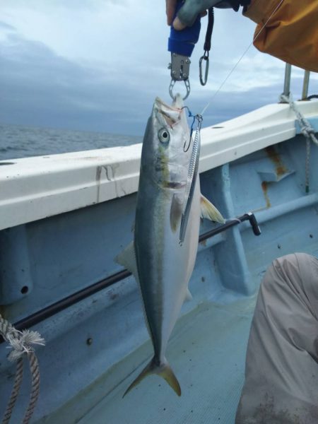 清和丸 釣果