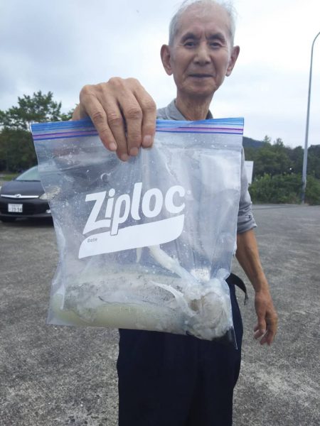 清和丸 釣果