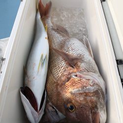 第二八坂丸 釣果