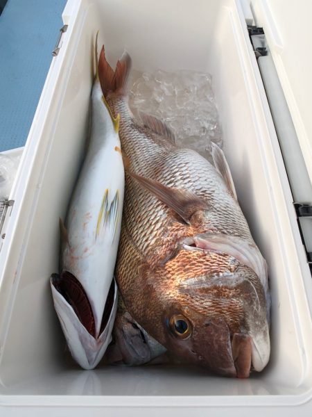 第二八坂丸 釣果