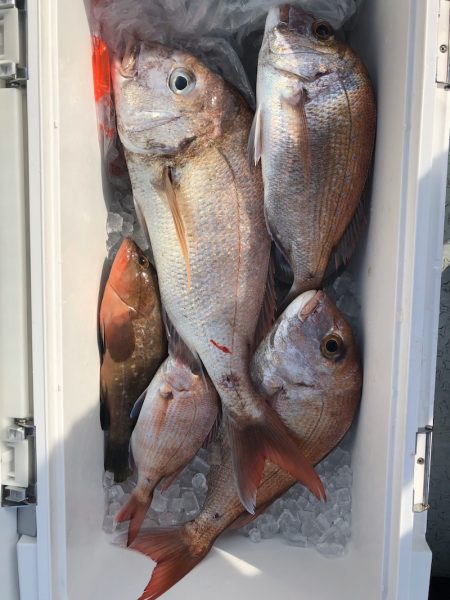 フィッシング キッタカ 釣果