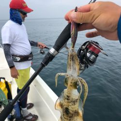 「LaGooN」蒼陽丸 日和号 釣果
