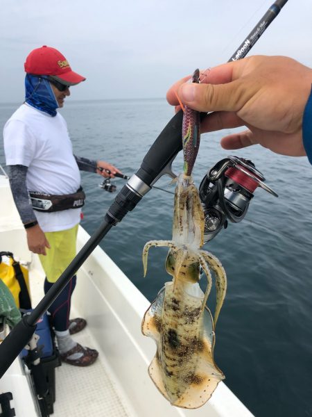 「LaGooN」蒼陽丸 日和号 釣果