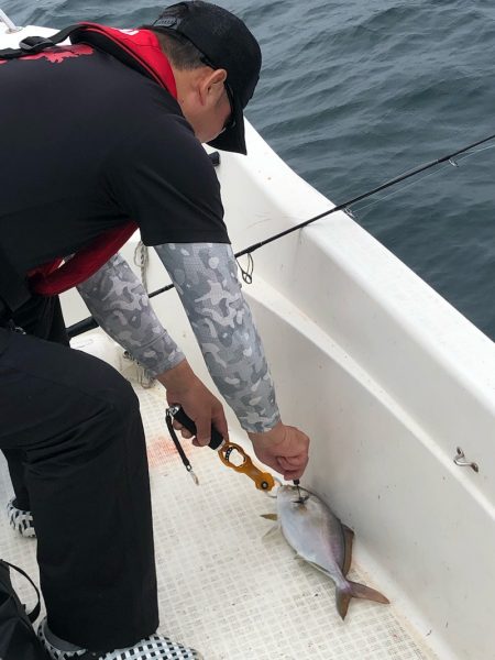 「LaGooN」蒼陽丸 日和号 釣果