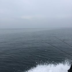 「LaGooN」蒼陽丸 日和号 釣果