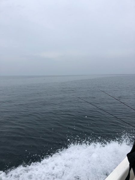 「LaGooN」蒼陽丸 日和号 釣果