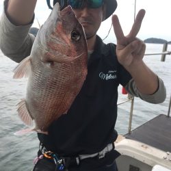 遊漁船メテオ 釣果